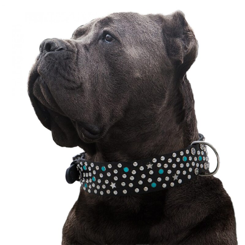 Cartello pubblicità pet 1