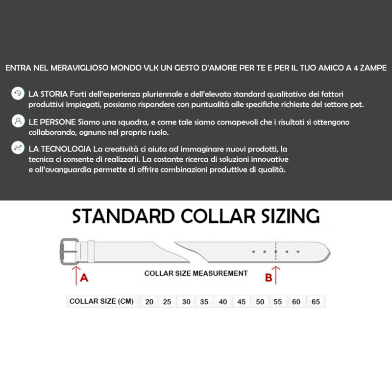Testo-informativo-misure-collari